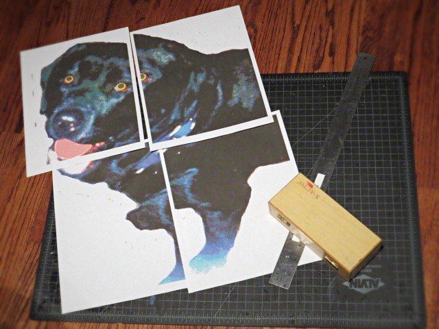 how to make a paint by numbers ish pet portrait, crafts, how to, wall decor