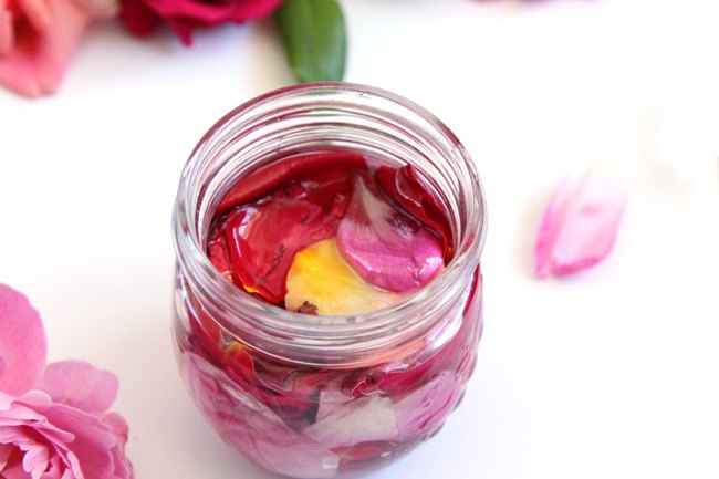 hacer aceite de rosas con rosas frescas