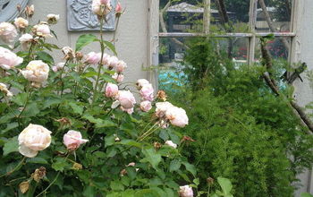 Window Boxes in the Garden Using Old Windows