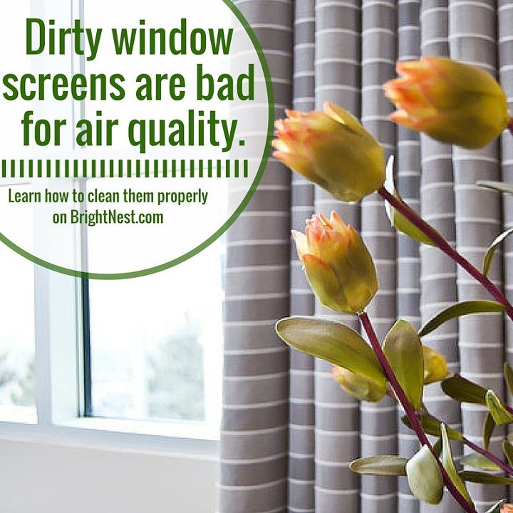 clean your window screens, cleaning tips, windows