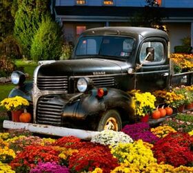 s 11 breathtaking mum pictures that ll get you crazy excited for fall, gardening, seasonal holiday decor, Antique Car Packed with Planters