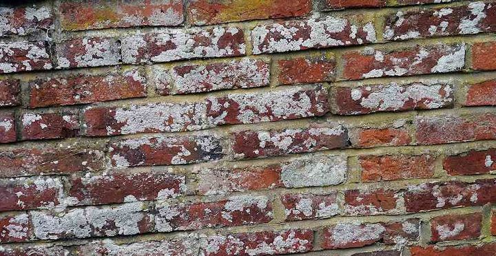 brick efflorescence what it is and how to beat it, cleaning tips, concrete masonry, home improvement, how to