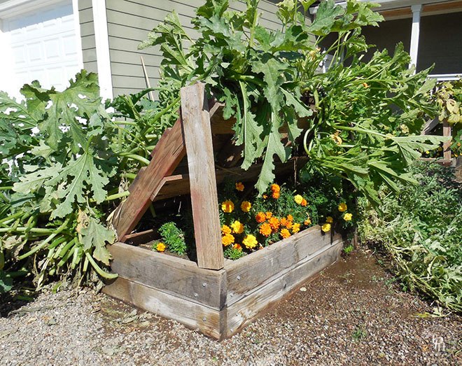Squash Growing Rack | Pallet Projects For Your Garden This Spring 