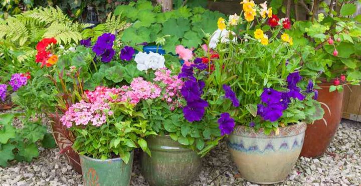 check out these 4 easy steps to creating a beautiful container garden, container gardening, gardening