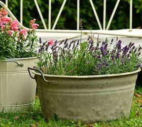 check out these 4 easy steps to creating a beautiful container garden, container gardening, gardening