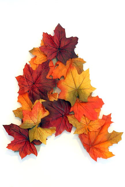 guirlanda de iniciais de monograma de outono