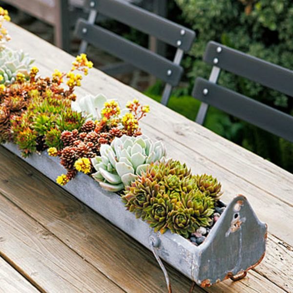 10 whimsical planters you didn t know you needed, A Vintage Chicken Feeder