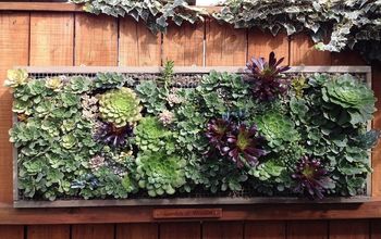 Pallet Wood Vertical Planting With Succulents