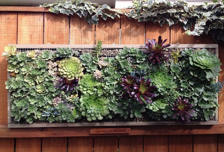 pallet wood vertical planting with succulents
