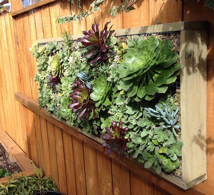 pallet wood vertical planting with succulents