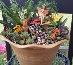 my fairy garden, container gardening, gardening