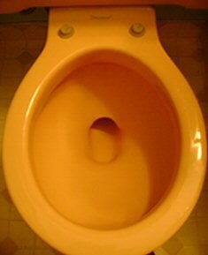 finally i prevent toilet rings and protect my pets, bathroom ideas, cleaning tips, pets animals, Original 1950 s Toilet Coated with Self Cleen