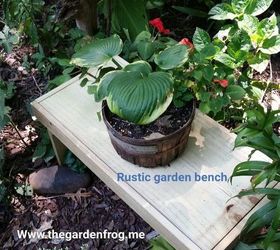 diy rustic garden bench for around 4, diy, gardening, outdoor furniture, rustic furniture, woodworking projects