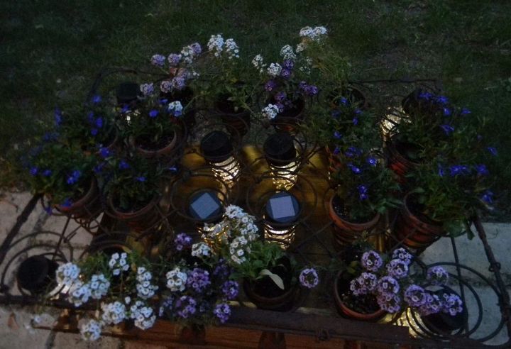 an apple box rusted out mattress springs solar lights cuteness, container gardening, flowers, gardening, repurposing upcycling, Top view at dusk