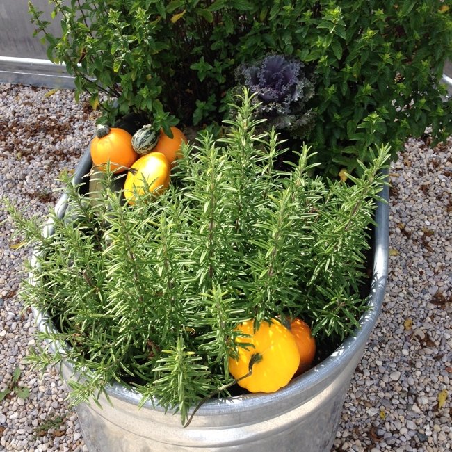 fall decorating at bannockburn 1878, container gardening, curb appeal, gardening, outdoor living, seasonal holiday decor