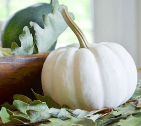 simple fall centerpiece with gourds squash and pumpkins, dining room ideas, seasonal holiday decor