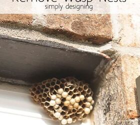 how to remove wasp nests, how to, outdoor living, pest control, pets animals