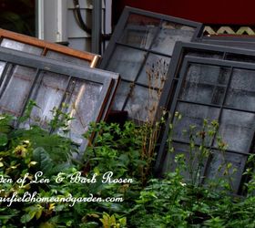 repurposed windows greenhouse, diy, gardening, home improvement, repurposing upcycling, woodworking projects, Old wooden windows for our greenhouse