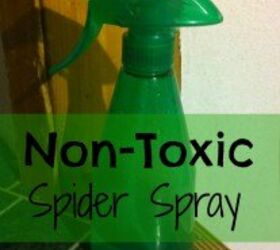nontoxic spider spray, pest control