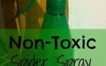 Nontoxic Spider Spray