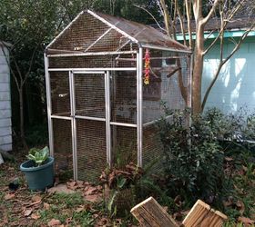 opinions please outdoor aviary or greenhouse