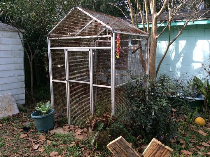 opinions please outdoor aviary or greenhouse