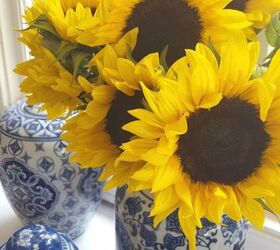 september sunflowers, flowers, gardening