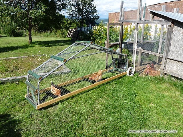 mobile chicken coop how to build a chicken tractor design idea plan, diy, gardening, homesteading, how to, outdoor living, pets animals, Mobile Chicken Coop