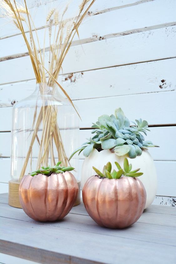 diy pumpkin planters, crafts, gardening, halloween decorations, seasonal holiday decor, succulents
