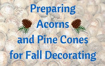 Guía de proyectos: Cómo preparar bellotas y piñas para la decoración de otoño