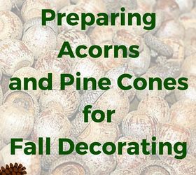 project guide preparing acorns and pine cones for fall decorating, crafts, seasonal holiday decor