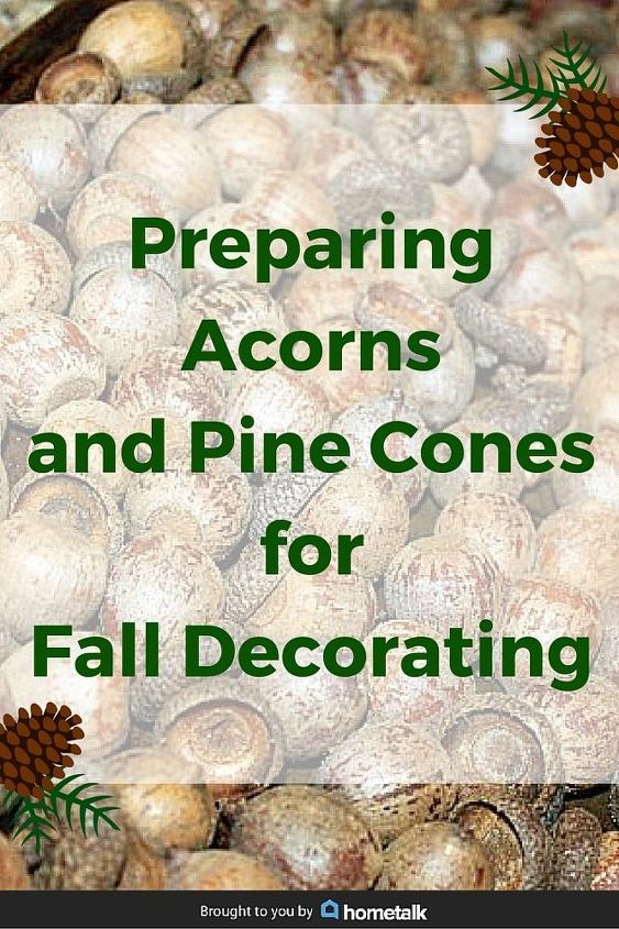 guia do projeto como preparar bolotas e pinhas para decorao de outono