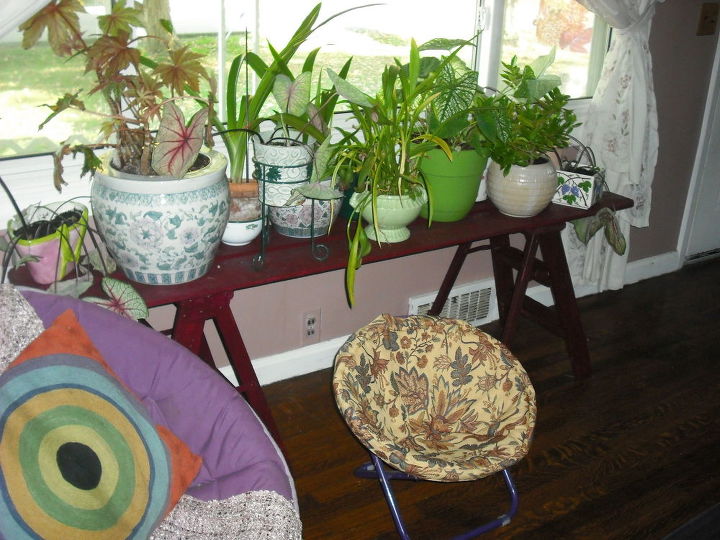 q i am bringing many plants indoors this fall i have few windows, container gardening, gardening, home decor, plant care, used boards on stepstools to build shelves for this window