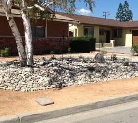 dg path should i add brick pavers or stepping stones, drought tolerant Front yard