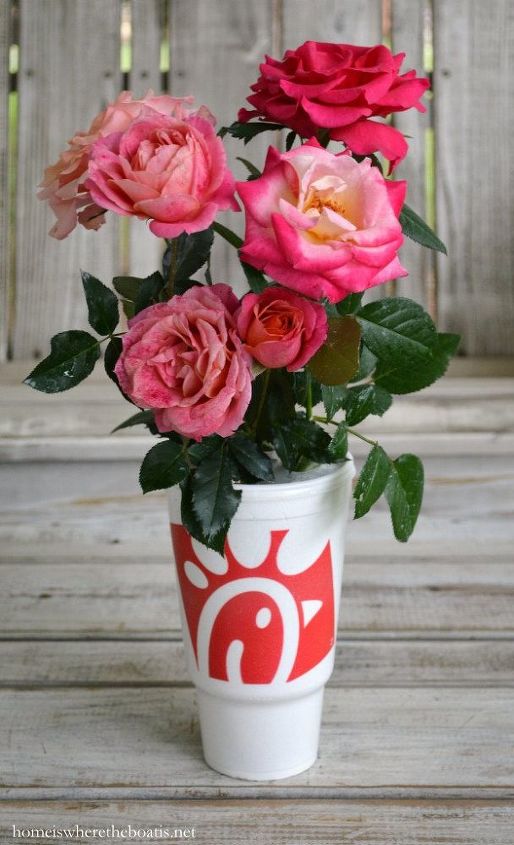 a blooming pumpkin from a chick fil a bouquet, crafts, seasonal holiday decor