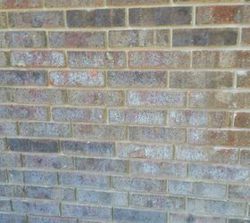 how do we clean water stained exterior bricks, The bricks are all whitish get from water constantly spraying them They should be red like the bricks in the upper right hand corner