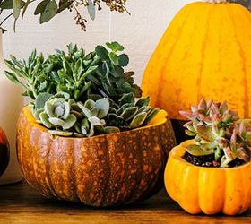 s 10 tasty ways to add some pumpkin spice to your home, crafts, halloween decorations, seasonal holiday decor, Fresh Pumpkin Planters