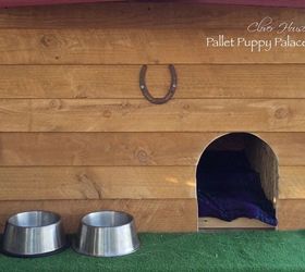 we madet a pallet puppy palace, diy, pallet, pets animals, repurposing upcycling, woodworking projects