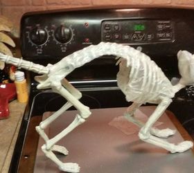 mummify a plastic skeleton, crafts, halloween decorations