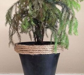 simple and rustic diy chalkboard painted plant pot, chalkboard paint, crafts