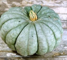 10 unusual edible pumpkins, gardening, seasonal holiday decor