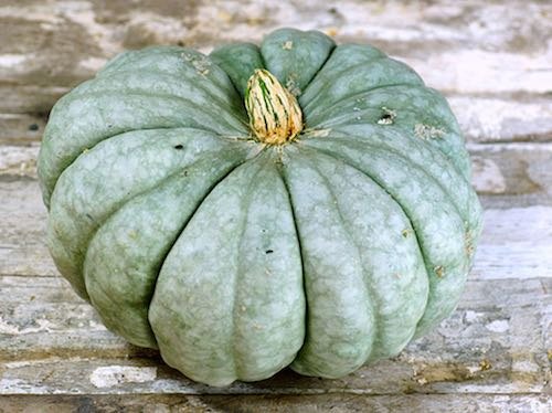 10 unusual edible pumpkins, gardening, seasonal holiday decor