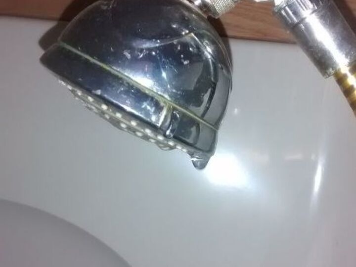 q shower head dripping, home maintenance repairs, minor home repair, plumbing, Main shower head can see the drip