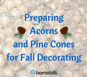 s 9 things you never knew you could do with a handful of acorns, repurposing upcycling, seasonal holiday decor, Know how to prep acorns for decorating We do