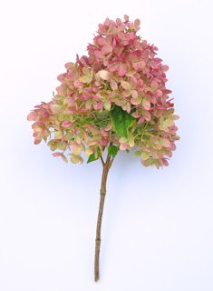how to dry and use hydrangeas, crafts, how to, hydrangea, wreaths