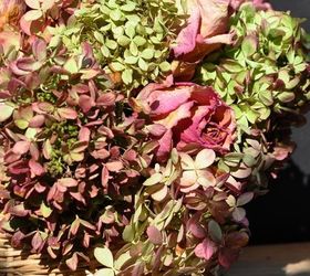 how to dry and use hydrangeas, crafts, how to, hydrangea, wreaths