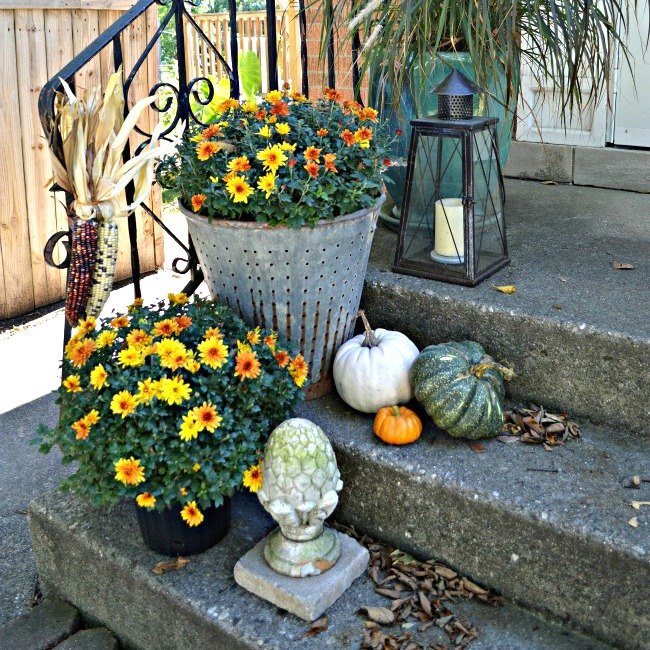 s these bloggers want to turn your home into a fall fantasy land, crafts, halloween decorations, home decor, seasonal holiday decor, thanksgiving decorations, Go Mad with Mums Outdoors