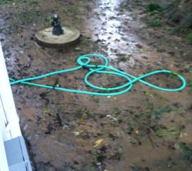 How to grow grass in a shady area Hometalk