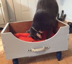 make a cat bed from an old wooden crate, pets animals, repurposing upcycling