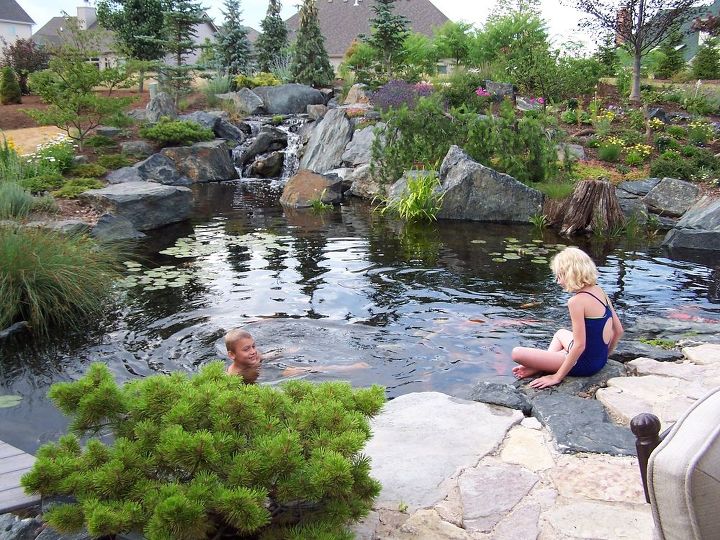 aquascape water gardens the appeal of koi ponds, landscape, ponds water features, Swimming Ponds